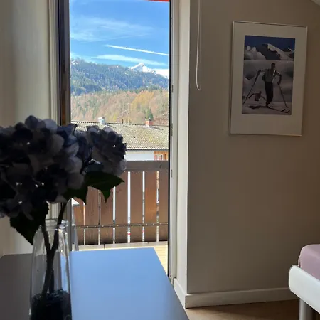 Apartment Olympiablick - Bergpanorama *
